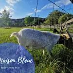 La Maison Bleue, Village Vacances, Piscine, Parking Apartament Saint-Geniez-dʼOlt