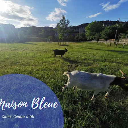 La Maison Bleue - Appartements Avec Piscine Dans La Vallee Du Lot Lejlighed Saint-Geniez-dʼOlt
