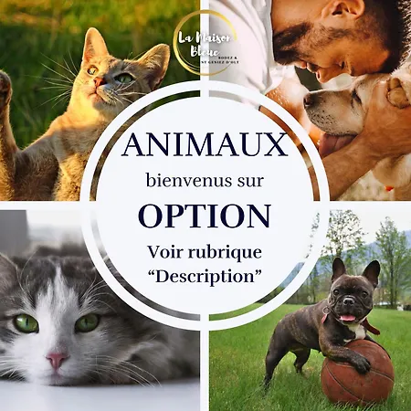 Appartamento La Maison Bleue, Village Vacances, Piscine, Parking Saint-Geniez-dʼOlt