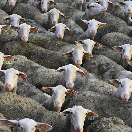 La Maison Bleue, Village Vacances, Piscine, Parking * Saint-Geniez-dʼOlt