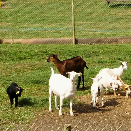 La Maison Bleue, Village Vacances, Piscine, Parking * Saint-Geniez-dʼOlt