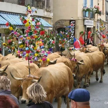 La Maison Bleue, Village Vacances, Piscine, Parking *