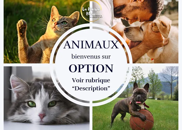 Daire La Maison Bleue, Village Vacances, Piscine, Parking Saint-Geniez-dʼOlt