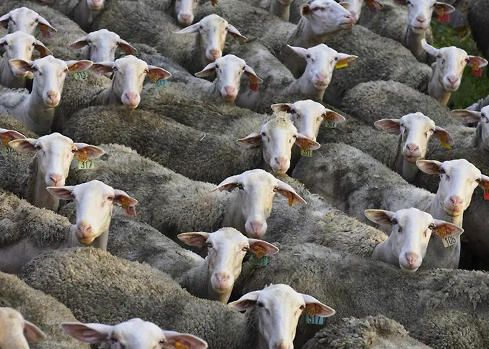 La Maison Bleue, Village Vacances, Piscine, Parking * Saint-Geniez-dʼOlt