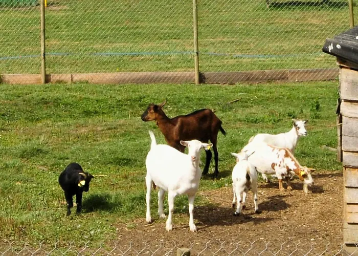 La Maison Bleue, Village Vacances, Piscine, Parking * Saint-Geniez-dʼOlt